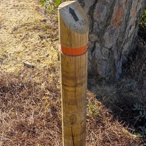 postes de madera tratada