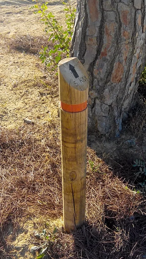 postes de madera tratada